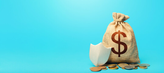 Dollar money bag and protection shield. Guarantee of protection of means of savings and...