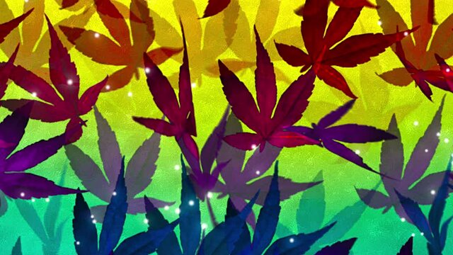 Loop of autumn leaves with slow-motion particles on yellow-green background.