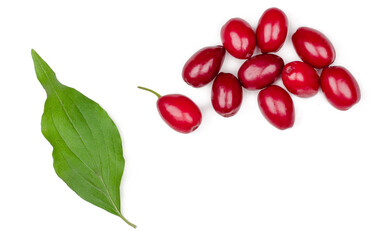 The fruits of dogwood isolated on white background, top view