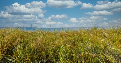 panorama shot of the Baltic Sea beach with dune grass