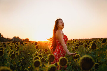a young beautiful girl in a red dress with white polka dots walks in a sunflower field. sunset in the field.