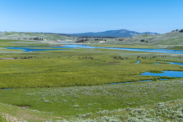 Hayden Valley and Bison, Yellowstone National Park © Hanjo Hellmann