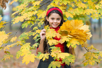 retro kid gather yellow maple leaves, autumn