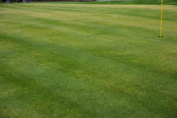 Fototapeta premium Playing golf. Golf course and Bag