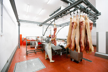 Back view of a group of worker in meat factory, chopped a fresh beef meat in pieces on work table,...