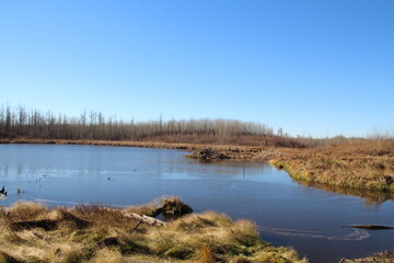 October On The Beaver Pond, Elk Island National Park, Alberta