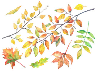 Watercolor set with autumn leaves and branches.