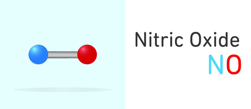 Nitric Oxide (NO) gas molecule. Stick model. Structural Chemical Formula. Chemistry Education