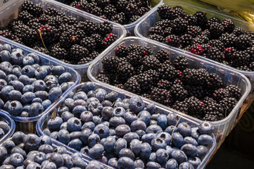 Large number of ripe organic blueberry and juicy blackberry on the market in small plastic containers