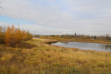 Fototapeta na wymiar Early October On The Wetlands, Pylypow Wetlands, Edmonton, Alberta