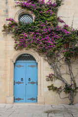 Fototapeta na wymiar old door with flowers