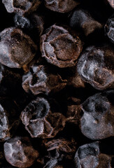 Indonesian long black pepper