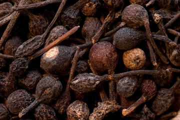 food and spice background super macro shot of exotic spice of madagascar pepper in details very close.