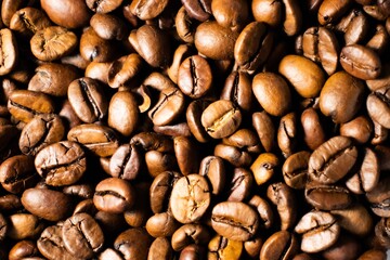 Coffee beans with uniform focus.
