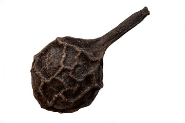 black pepper against white background