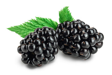 blackberry with leaf isolated on a white background closeup. Clipping path and full depth of field