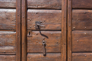 Classic old wooden door with bronze handles in Paris