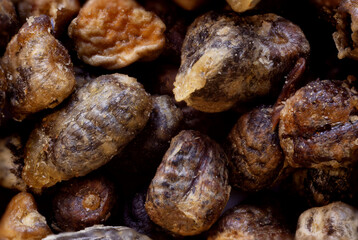 super macro shot food baground .Indian cardamom seeds shot very close up and seen in detail
