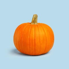 Halloween pumpkin on a blue background. Halloween holiday concept