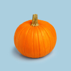 Halloween pumpkin on a blue background. Halloween holiday concept