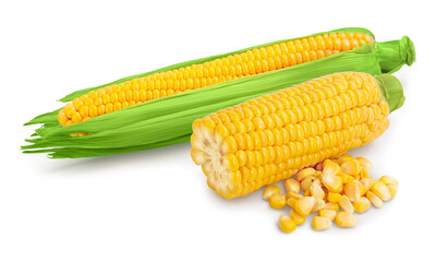 ear of corn isolated on a white background. Clipping path and full depth of field