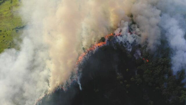 Burning dry grass and trees, aerial view from drone. Summer wildfire. Fire in nature with smoke.