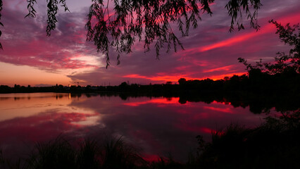 Symmetry of the sky in a lake at sunrise. Clouds reflecting on the water. Holiday landscape by the sea. Quiet relaxing scene with a beautiful colorful sky. Silhouette of weeping willow.