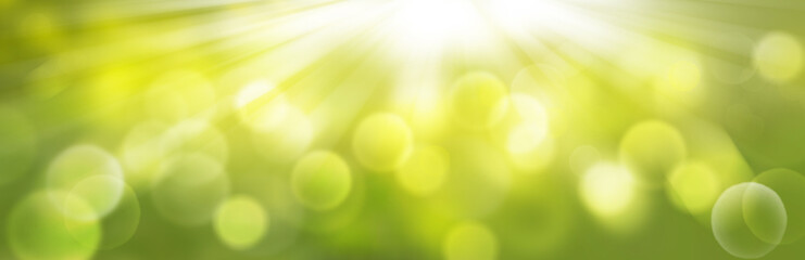 Fototapeta na wymiar Abstract green bokeh background, spring banner, sunny panorama