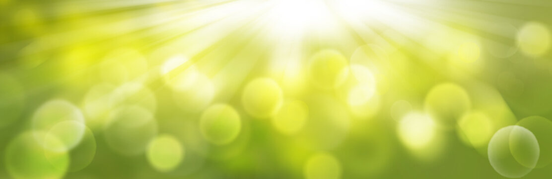 Abstract green bokeh background, spring banner, sunny panorama