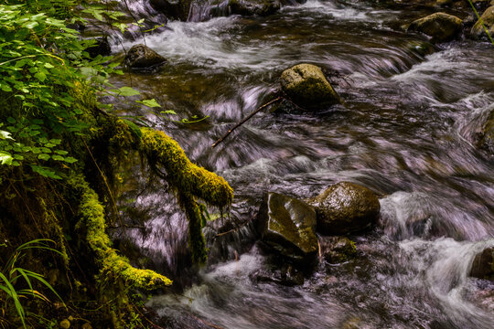 Clackamas River in MT Hood National Forest.