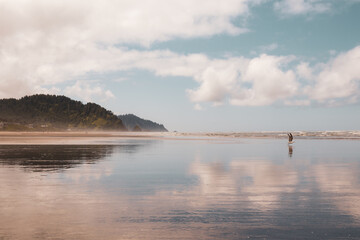 sunny beach day relfection