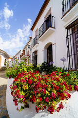 Fototapeta na wymiar red flowers in front of white village house