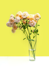 A bouquet of Pastel pink roses in a transparent glass vase on bright yellow background. Creative greeting card.