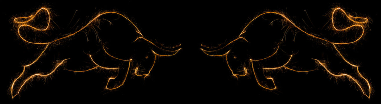 Two Oxes symbol of new 2021 year created with sparklines. Bulls made with glowing lines and sparks. 2021 Happy New Year Ox made with spark trails. two bulls oposite each other with copyspace banner