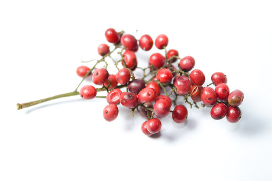 Pimenta rosa para uso culin&aacute;rio