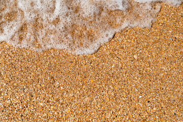 Sea wave on a seashell beach. Free space for text.