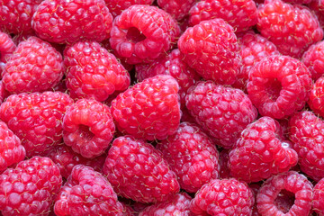 Fresh raspberries background. dessert food