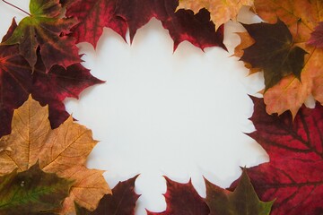 Autumn composition-vintage banner with autumn leaves on a white background. Autumn foliage. frame with space for copying. Background of the autumn season.