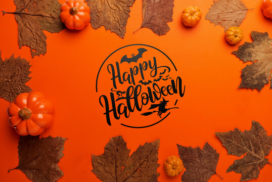 photo pour "happy halloween" en noir avec une chauve souris et une sorcière sur son balais,  sur un fond orange avec des feuilles et des citrouilles