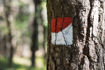 hiking sign in the beatiful landscape of the pfälzer wald wood hills, rheinland-pfalz, germany