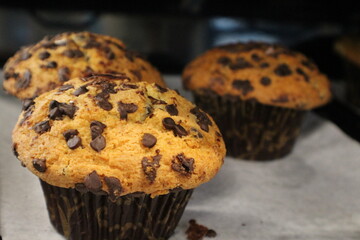 Chocolate Chip Muffins in Case