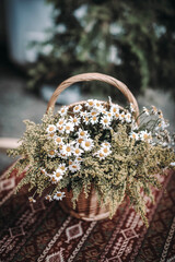 Beautiful bouquet of fresh daisies in a wicker basket. Selective focus