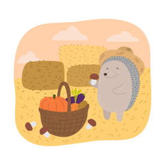 Grey hedgehog farmer picking ripe vegetables to basket during harvesting