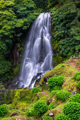 Obraz premium Waterfall at Parque Natural Da Ribeira Dos Caldeiroes, Sao Miguel, Azores, Portugal. Beautiful waterfall surrounded with hydrangeas in Ribeira dos Caldeiroes park, Sao Miguel, Azores, Portugal