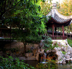 japanese garden in the park