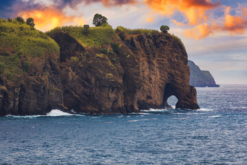 Naklejka premium Elephant trunk figure by the sea, San Miguel Island, Azores, Portugal. Close up of elephant trunk figure, Azores, Portugal.
