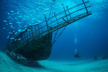 Diver on wrecks in Sint Maarten - obrazy, fototapety, plakaty