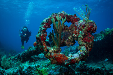 Anchor of HMS Proselyte on the reef at Sint Maarten
