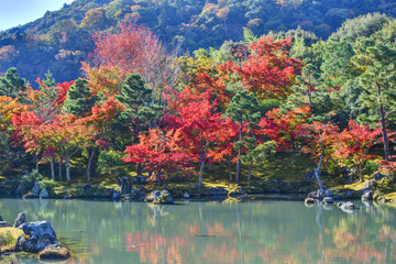天龍寺の曹源池庭園