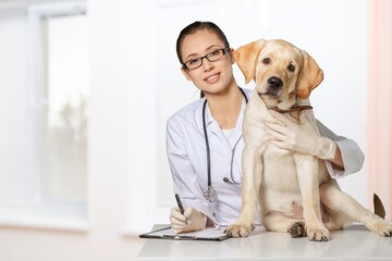 Fototapeta na wymiar A beautiful young veterinarian with a dog on a hospital background